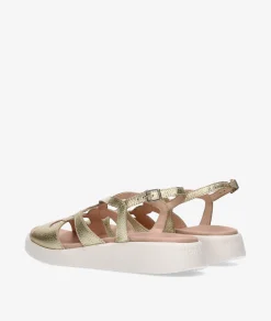 Mujer Wonders Sandalias*Sandalias C-6550 en platino